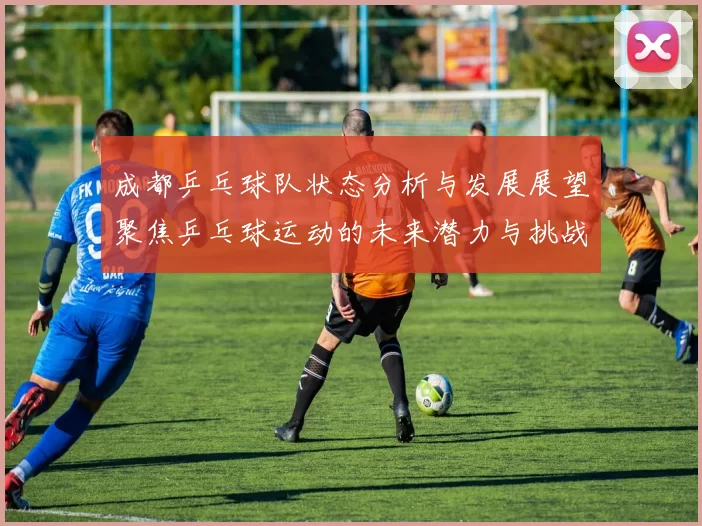 成都乒乓球队状态分析与发展展望聚焦乒乓球运动的未来潜力与挑战MBA
