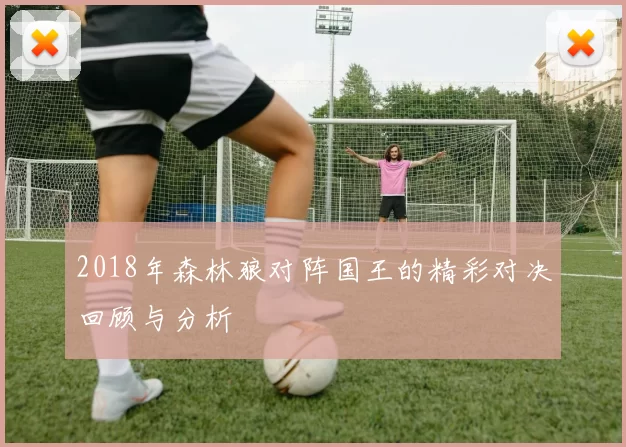 2018年森林狼对阵国王的精彩对决回顾与分析