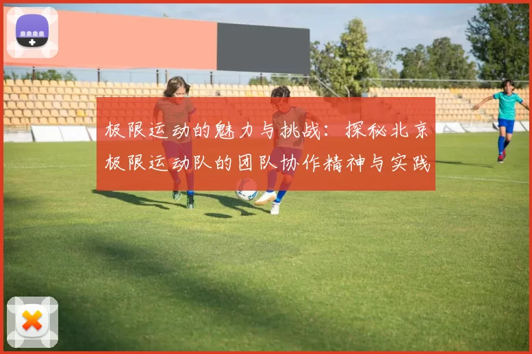 极限运动的魅力与挑战：探秘北京极限运动队的团队协作精神与实践MBA