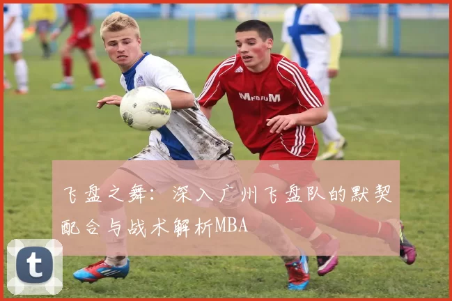 飞盘之舞：深入广州飞盘队的默契配合与战术解析MBA